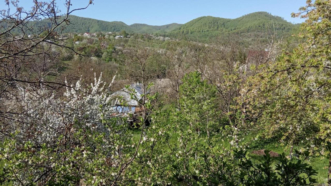 Bat'kivska Hata Stari Kuty Bagian luar foto