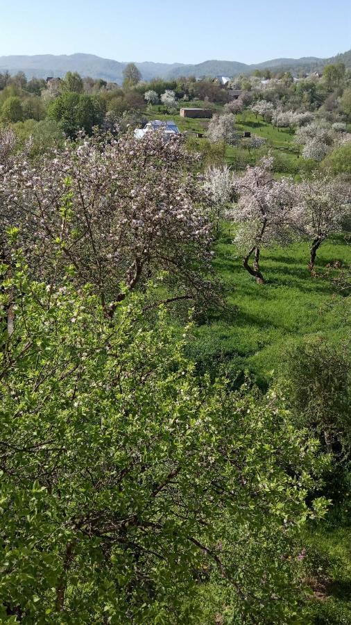 Bat'kivska Hata Stari Kuty Bagian luar foto