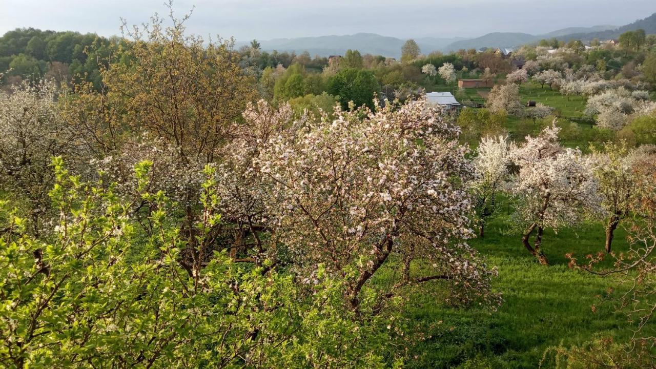 Bat'kivska Hata Stari Kuty Bagian luar foto