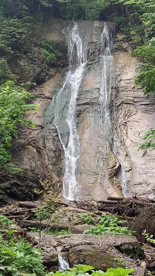 Bat'kivska Hata Stari Kuty Bagian luar foto