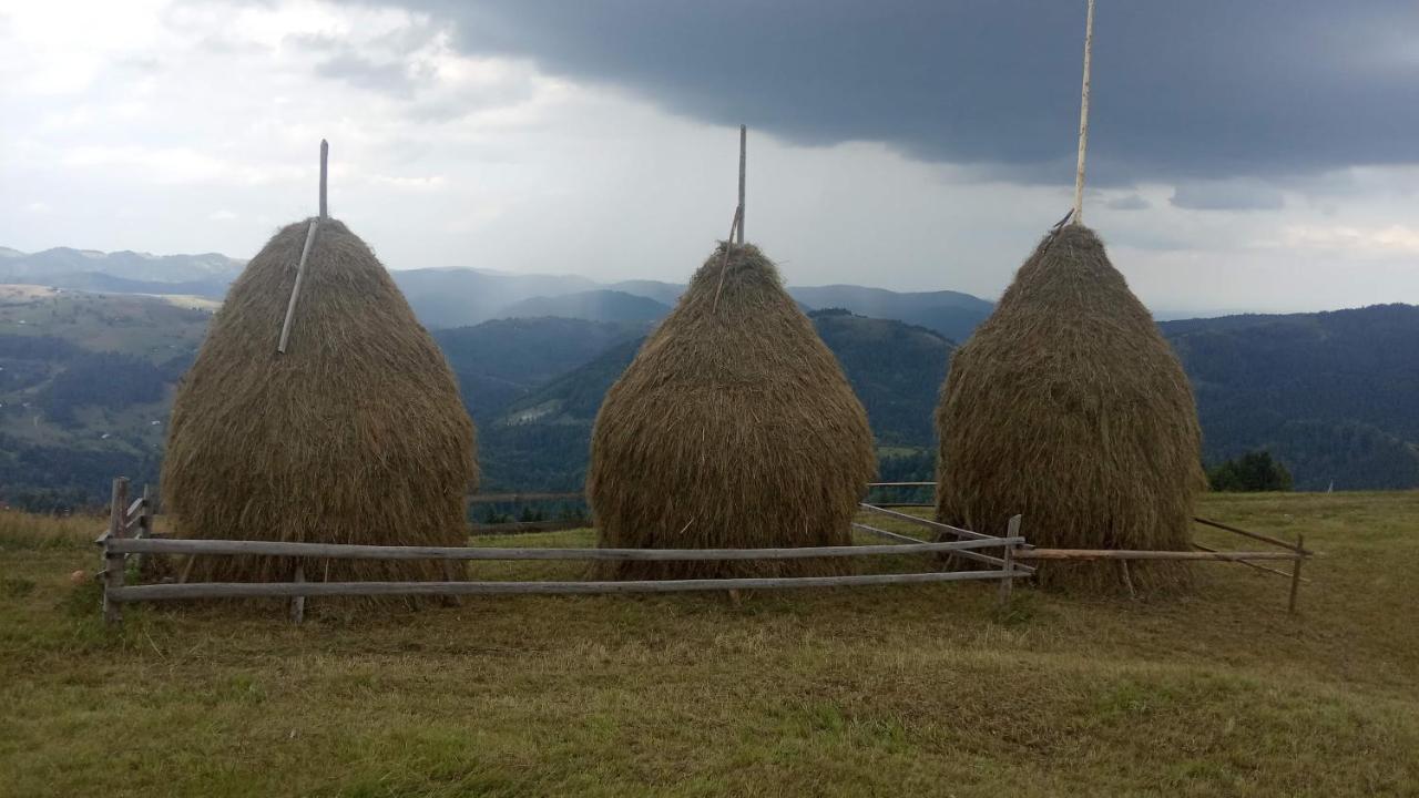 Bat'kivska Hata Stari Kuty Bagian luar foto
