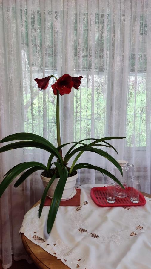 Bat'kivska Hata Stari Kuty Bagian luar foto